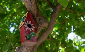 Manianna Garden Apartments -Ierapetra